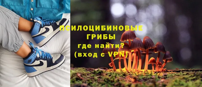 Псилоцибиновые грибы Psilocybine cubensis  Баксан 